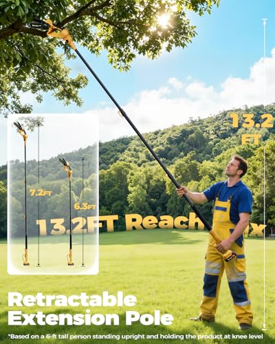 2-in-1 Cordless Pole Saw & 6-I - đánh giá và giá Mini Electric Chainsaw 6 Inch