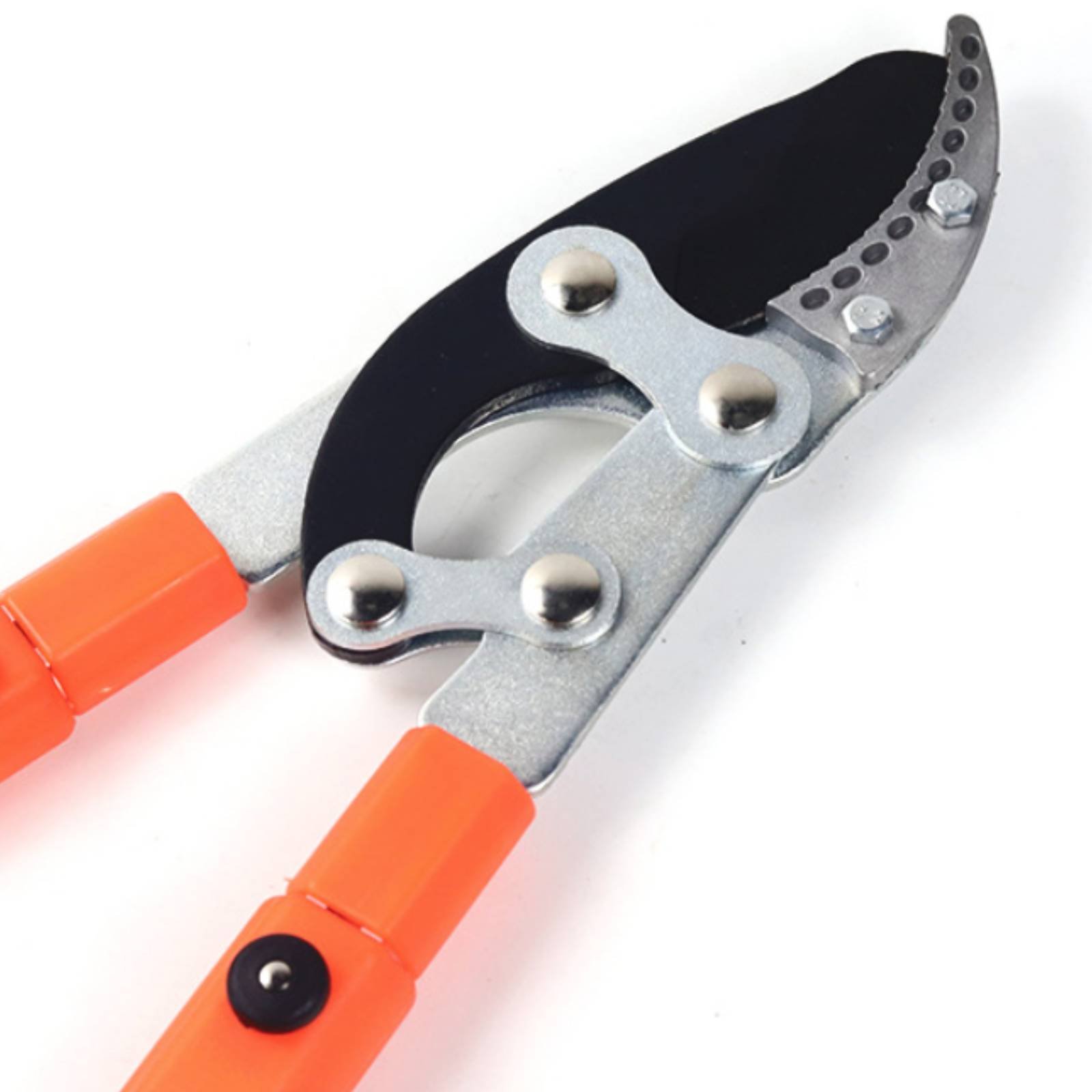 Telescopic Branch Pruners Shar - đánh giá và giá Garden Tools